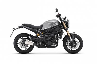 BENELLI LEONCINO 800