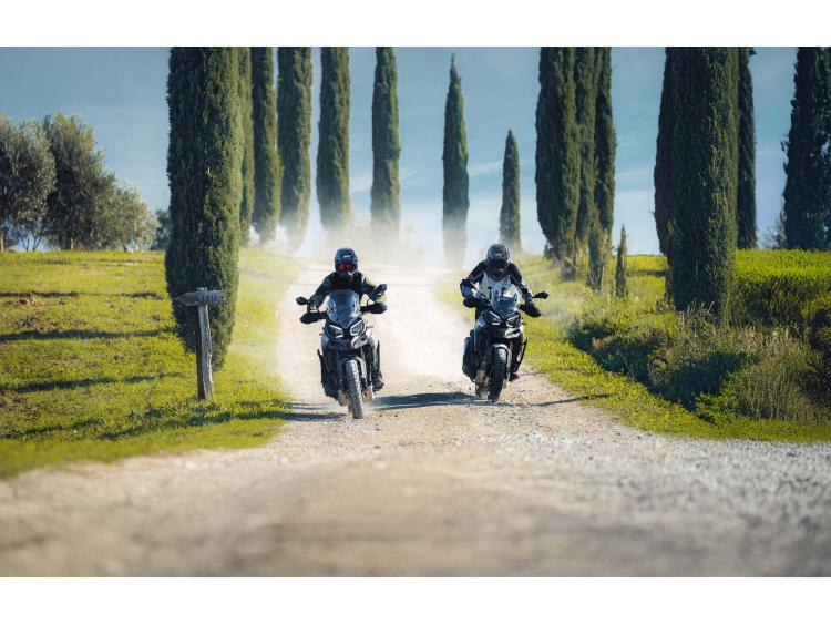 MORBIDELLI T1002VX