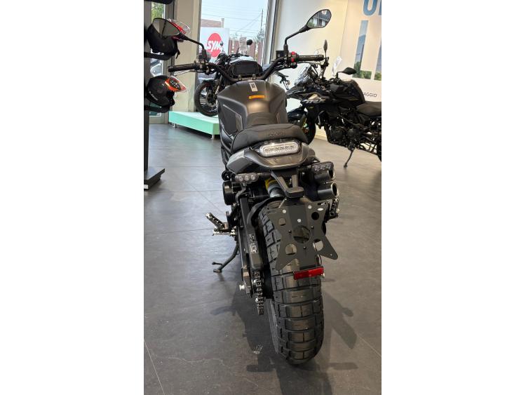 BENELLI LEONCINO 800 T